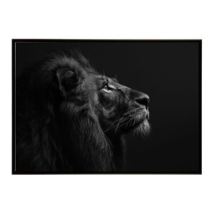 Lion ���C�I�� �T�o���i �A�t���J ���� ���R �l�C�`���[ ���� �A�j�}�� �쐶���� �ʐ^ �L�|�X�^�[ �C���e���A ������� �v�����g�|�X�^�[ �t�H�g �V���v�� ������ ���� �傫��/lh-poster-6774