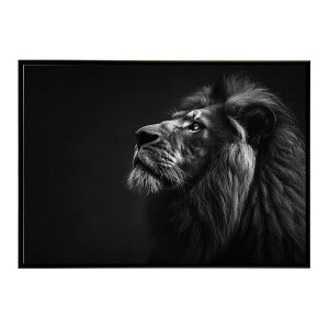 Lion ���C�I�� �T�o���i �A�t���J ���� ���R �l�C�`���[ ���� �A�j�}�� �쐶���� �ʐ^ �L�|�X�^�[ �C���e���A ������� �v�����g�|�X�^�[ �t�H�g �V���v�� ������ ���� �傫��/lh-poster-6775