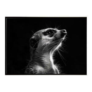 Meerkat �~�[�A�L���b�g �T�o���i �A�t���J ���� ���R �l�C�`���[ ���� �A�j�}�� �쐶���� �ʐ^�|�X�^�[ �C���e���A ������� �v�����g�|�X�^�[ �t�H�g �V���v�� ������ ���� �傫��/lh-poster-6776