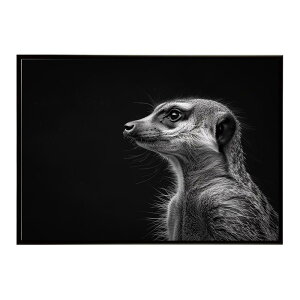 Meerkat �~�[�A�L���b�g �T�o���i �A�t���J ���� ���R �l�C�`���[ ���� �A�j�}�� �쐶���� �ʐ^�|�X�^�[ �C���e���A ������� �v�����g�|�X�^�[ �t�H�g �V���v�� ������ ���� �傫��/lh-poster-6778