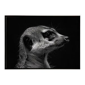 Meerkat �~�[�A�L���b�g �T�o���i �A�t���J ���� ���R �l�C�`���[ ���� �A�j�}�� �쐶���� �ʐ^�|�X�^�[ �C���e���A ������� �v�����g�|�X�^�[ �t�H�g �V���v�� ������ ���� �傫��/lh-poster-6780