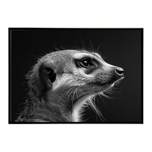 Meerkat �~�[�A�L���b�g �T�o���i �A�t���J ���� ���R �l�C�`���[ ���� �A�j�}�� �쐶���� �ʐ^�|�X�^�[ �C���e���A ������� �v�����g�|�X�^�[ �t�H�g �V���v�� ������ ���� �傫��/lh-poster-6781