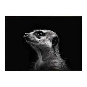 Meerkat �~�[�A�L���b�g �T�o���i �A�t���J ���� ���R �l�C�`���[ ���� �A�j�}�� �쐶���� �ʐ^�|�X�^�[ �C���e���A ������� �v�����g�|�X�^�[ �t�H�g �V���v�� ������ ���� �傫��/lh-poster-6784