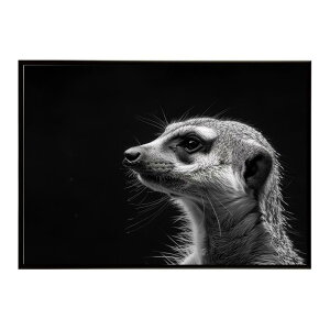 Meerkat �~�[�A�L���b�g �T�o���i �A�t���J ���� ���R �l�C�`���[ ���� �A�j�}�� �쐶���� �ʐ^�|�X�^�[ �C���e���A ������� �v�����g�|�X�^�[ �t�H�g �V���v�� ������ ���� �傫��/lh-poster-6786