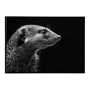 Mongoose �}���O�[�X �T�o���i �A�t���J ���� ���R �l�C�`���[ ���� �A�j�}�� �쐶���� �ʐ^�|�X�^�[ �C���e���A ������� �v�����g�|�X�^�[ �t�H�g �V���v�� ������ ���� �傫��/lh-poster-6790