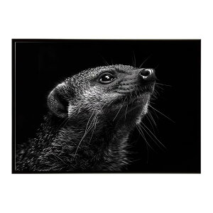 Mongoose �}���O�[�X �T�o���i �A�t���J ���� ���R �l�C�`���[ ���� �A�j�}�� �쐶���� �ʐ^�|�X�^�[ �C���e���A ������� �v�����g�|�X�^�[ �t�H�g �V���v�� ������ ���� �傫��/lh-poster-6791