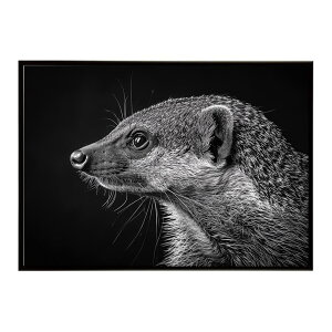 Mongoose �}���O�[�X �T�o���i �A�t���J ���� ���R �l�C�`���[ ���� �A�j�}�� �쐶���� �ʐ^�|�X�^�[ �C���e���A ������� �v�����g�|�X�^�[ �t�H�g �V���v�� ������ ���� �傫��/lh-poster-6792