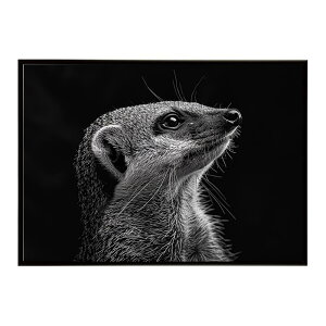Mongoose �}���O�[�X �T�o���i �A�t���J ���� ���R �l�C�`���[ ���� �A�j�}�� �쐶���� �ʐ^�|�X�^�[ �C���e���A ������� �v�����g�|�X�^�[ �t�H�g �V���v�� ������ ���� �傫��/lh-poster-6793