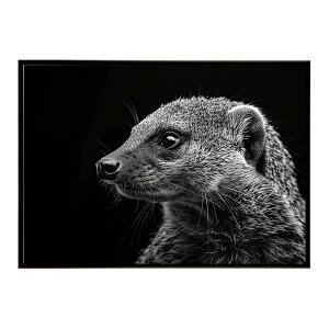 Mongoose �}���O�[�X �T�o���i �A�t���J ���� ���R �l�C�`���[ ���� �A�j�}�� �쐶���� �ʐ^�|�X�^�[ �C���e���A ������� �v�����g�|�X�^�[ �t�H�g �V���v�� ������ ���� �傫��/lh-poster-6794