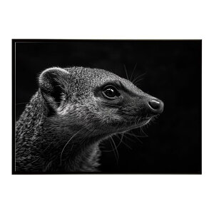 Mongoose �}���O�[�X �T�o���i �A�t���J ���� ���R �l�C�`���[ ���� �A�j�}�� �쐶���� �ʐ^�|�X�^�[ �C���e���A ������� �v�����g�|�X�^�[ �t�H�g �V���v�� ������ ���� �傫��/lh-poster-6795