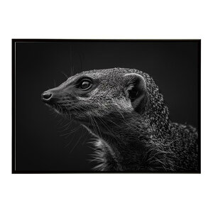 Mongoose �}���O�[�X �T�o���i �A�t���J ���� ���R �l�C�`���[ ���� �A�j�}�� �쐶���� �ʐ^�|�X�^�[ �C���e���A ������� �v�����g�|�X�^�[ �t�H�g �V���v�� ������ ���� �傫��/lh-poster-6798