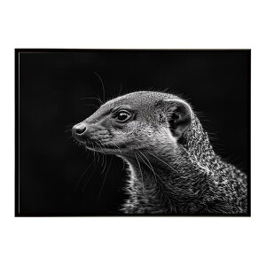 Mongoose �}���O�[�X �T�o���i �A�t���J ���� ���R �l�C�`���[ ���� �A�j�}�� �쐶���� �ʐ^�|�X�^�[ �C���e���A ������� �v�����g�|�X�^�[ �t�H�g �V���v�� ������ ���� �傫��/lh-poster-6802