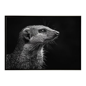 Mongoose �}���O�[�X �T�o���i �A�t���J ���� ���R �l�C�`���[ ���� �A�j�}�� �쐶���� �ʐ^�|�X�^�[ �C���e���A ������� �v�����g�|�X�^�[ �t�H�g �V���v�� ������ ���� �傫��/lh-poster-6803