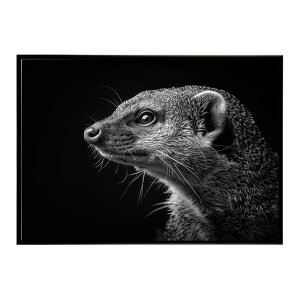 Mongoose �}���O�[�X �T�o���i �A�t���J ���� ���R �l�C�`���[ ���� �A�j�}�� �쐶���� �ʐ^�|�X�^�[ �C���e���A ������� �v�����g�|�X�^�[ �t�H�g �V���v�� ������ ���� �傫��/lh-poster-6804