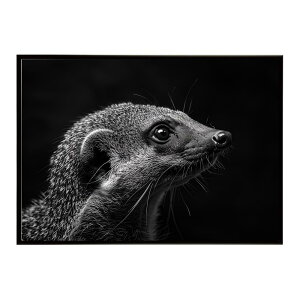Mongoose �}���O�[�X �T�o���i �A�t���J ���� ���R �l�C�`���[ ���� �A�j�}�� �쐶���� �ʐ^�|�X�^�[ �C���e���A ������� �v�����g�|�X�^�[ �t�H�g �V���v�� ������ ���� �傫��/lh-poster-6808
