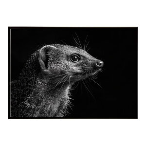 Mongoose �}���O�[�X �T�o���i �A�t���J ���� ���R �l�C�`���[ ���� �A�j�}�� �쐶���� �ʐ^�|�X�^�[ �C���e���A ������� �v�����g�|�X�^�[ �t�H�g �V���v�� ������ ���� �傫��/lh-poster-6810