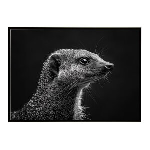 Mongoose �}���O�[�X �T�o���i �A�t���J ���� ���R �l�C�`���[ ���� �A�j�}�� �쐶���� �ʐ^�|�X�^�[ �C���e���A ������� �v�����g�|�X�^�[ �t�H�g �V���v�� ������ ���� �傫��/lh-poster-6811