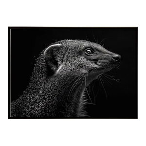 Mongoose �}���O�[�X �T�o���i �A�t���J ���� ���R �l�C�`���[ ���� �A�j�}�� �쐶���� �ʐ^�|�X�^�[ �C���e���A ������� �v�����g�|�X�^�[ �t�H�g �V���v�� ������ ���� �傫��/lh-poster-6812