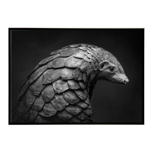 Pangolin �p���S���� �A���}�W�� �T�o���i �A�t���J ���� ���R �l�C�`���[ ���� �A�j�}�� �쐶���� �ʐ^�|�X�^�[ �C���e���A ������� �v�����g�|�X�^�[ �t�H�g �V���v�� ������ ���� �傫��/lh-