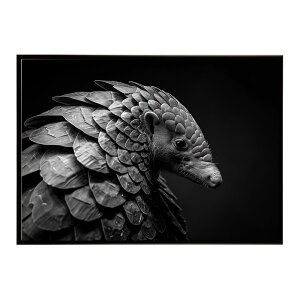 Pangolin �p���S���� �A���}�W�� �T�o���i �A�t���J ���� ���R �l�C�`���[ ���� �A�j�}�� �쐶���� �ʐ^�|�X�^�[ �C���e���A ������� �v�����g�|�X�^�[ �t�H�g �V���v�� ������ ���� �傫��/lh-