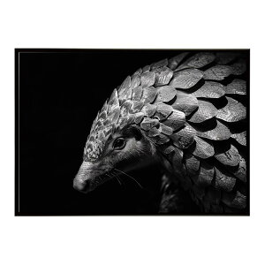 Pangolin �p���S���� �A���}�W�� �T�o���i �A�t���J ���� ���R �l�C�`���[ ���� �A�j�}�� �쐶���� �ʐ^�|�X�^�[ �C���e���A ������� �v�����g�|�X�^�[ �t�H�g �V���v�� ������ ���� �傫��/lh-