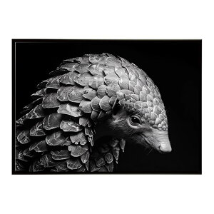 Pangolin �p���S���� �A���}�W�� �T�o���i �A�t���J ���� ���R �l�C�`���[ ���� �A�j�}�� �쐶���� �ʐ^�|�X�^�[ �C���e���A ������� �v�����g�|�X�^�[ �t�H�g �V���v�� ������ ���� �傫��/lh-