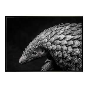 Pangolin �p���S���� �A���}�W�� �T�o���i �A�t���J ���� ���R �l�C�`���[ ���� �A�j�}�� �쐶���� �ʐ^�|�X�^�[ �C���e���A ������� �v�����g�|�X�^�[ �t�H�g �V���v�� ������ ���� �傫��/lh-