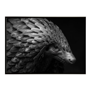 Pangolin �p���S���� �A���}�W�� �T�o���i �A�t���J ���� ���R �l�C�`���[ ���� �A�j�}�� �쐶���� �ʐ^�|�X�^�[ �C���e���A ������� �v�����g�|�X�^�[ �t�H�g �V���v�� ������ ���� �傫��/lh-