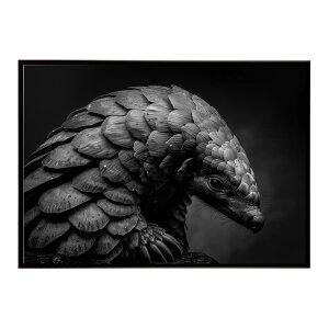 Pangolin �p���S���� �A���}�W�� �T�o���i �A�t���J ���� ���R �l�C�`���[ ���� �A�j�}�� �쐶���� �ʐ^�|�X�^�[ �C���e���A ������� �v�����g�|�X�^�[ �t�H�g �V���v�� ������ ���� �傫��/lh-