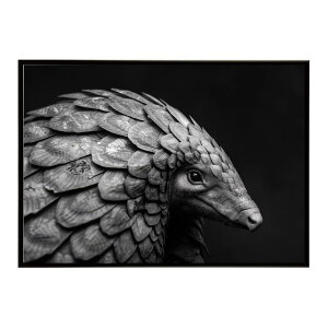 Pangolin �p���S���� �A���}�W�� �T�o���i �A�t���J ���� ���R �l�C�`���[ ���� �A�j�}�� �쐶���� �ʐ^�|�X�^�[ �C���e���A ������� �v�����g�|�X�^�[ �t�H�g �V���v�� ������ ���� �傫��/lh-