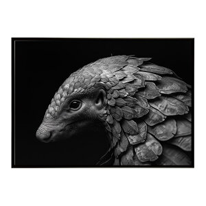 Pangolin �p���S���� �A���}�W�� �T�o���i �A�t���J ���� ���R �l�C�`���[ ���� �A�j�}�� �쐶���� �ʐ^�|�X�^�[ �C���e���A ������� �v�����g�|�X�^�[ �t�H�g �V���v�� ������ ���� �傫��/lh-