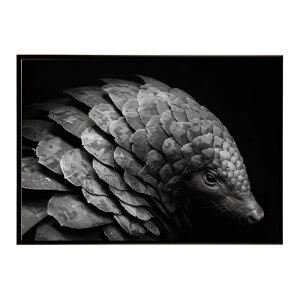 Pangolin �p���S���� �A���}�W�� �T�o���i �A�t���J ���� ���R �l�C�`���[ ���� �A�j�}�� �쐶���� �ʐ^�|�X�^�[ �C���e���A ������� �v�����g�|�X�^�[ �t�H�g �V���v�� ������ ���� �傫��/lh-