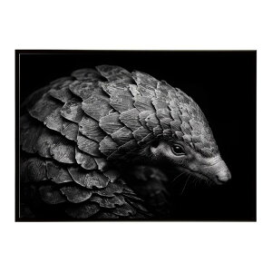 Pangolin �p���S���� �A���}�W�� �T�o���i �A�t���J ���� ���R �l�C�`���[ ���� �A�j�}�� �쐶���� �ʐ^�|�X�^�[ �C���e���A ������� �v�����g�|�X�^�[ �t�H�g �V���v�� ������ ���� �傫��/lh-