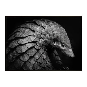 Pangolin �p���S���� �A���}�W�� �T�o���i �A�t���J ���� ���R �l�C�`���[ ���� �A�j�}�� �쐶���� �ʐ^�|�X�^�[ �C���e���A ������� �v�����g�|�X�^�[ �t�H�g �V���v�� ������ ���� �傫��/lh-