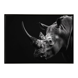 Rhinoceros �T�C ���m �T�o���i �A�t���J ���� ���R �l�C�`���[ ���� �A�j�}�� �쐶���� �ʐ^�|�X�^�[ �C���e���A ������� �v�����g�|�X�^�[ �t�H�g �V���v�� ������ ���� �傫��/lh-poster-6845
