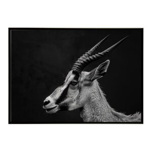 Roan antelope ���[���A���e���[�v �T�o���i �A�t���J ���� ���R �l�C�`���[ ���� �A�j�}�� �쐶���� �ʐ^ ���|�X�^�[ �C���e���A ������� �v�����g�|�X�^�[ �t�H�g �V���v�� ������ ���� �傫