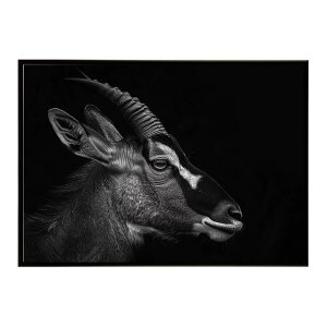 Roan antelope ���[���A���e���[�v �T�o���i �A�t���J ���� ���R �l�C�`���[ ���� �A�j�}�� �쐶���� �ʐ^ ���|�X�^�[ �C���e���A ������� �v�����g�|�X�^�[ �t�H�g �V���v�� ������ ���� �傫