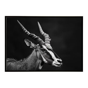 Roan antelope ���[���A���e���[�v �T�o���i �A�t���J ���� ���R �l�C�`���[ ���� �A�j�}�� �쐶���� �ʐ^ ���|�X�^�[ �C���e���A ������� �v�����g�|�X�^�[ �t�H�g �V���v�� ������ ���� �傫