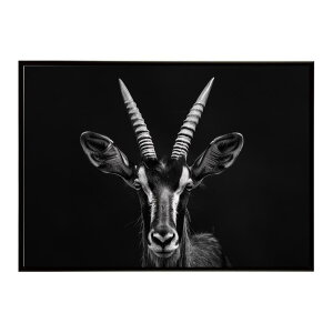 Roan antelope ���[���A���e���[�v �T�o���i �A�t���J ���� ���R �l�C�`���[ ���� �A�j�}�� �쐶���� �ʐ^ ���|�X�^�[ �C���e���A ������� �v�����g�|�X�^�[ �t�H�g �V���v�� ������ ���� �傫