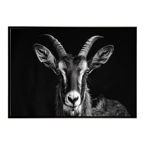 Roan antelope ���[���A���e���[�v �T�o���i �A�t���J ���� ���R �l�C�`���[ ���� �A�j�}�� �쐶���� �ʐ^ ���|�X�^�[ �C���e���A ������� �v�����g�|�X�^�[ �t�H�g �V���v�� ������ ���� �傫