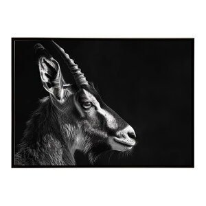 Roan antelope ���[���A���e���[�v �T�o���i �A�t���J ���� ���R �l�C�`���[ ���� �A�j�}�� �쐶���� �ʐ^ ���|�X�^�[ �C���e���A ������� �v�����g�|�X�^�[ �t�H�g �V���v�� ������ ���� �傫
