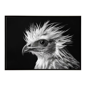 Secretary bird �Z�N���^���[�o�[�h �T�o���i �A�t���J ���� ���R �l�C�`���[ ���� �A�j�}�� �쐶���� �ʐ^ ���|�X�^�[ �C���e���A ������� �v�����g�|�X�^�[ �t�H�g �V���v�� ������ ���� �傫