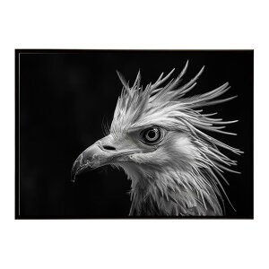 Secretary bird �Z�N���^���[�o�[�h �T�o���i �A�t���J ���� ���R �l�C�`���[ ���� �A�j�}�� �쐶���� �ʐ^ ���|�X�^�[ �C���e���A ������� �v�����g�|�X�^�[ �t�H�g �V���v�� ������ ���� �傫