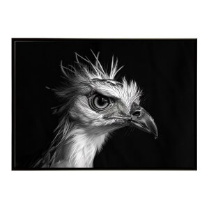 Secretary bird �Z�N���^���[�o�[�h �T�o���i �A�t���J ���� ���R �l�C�`���[ ���� �A�j�}�� �쐶���� �ʐ^ ���|�X�^�[ �C���e���A ������� �v�����g�|�X�^�[ �t�H�g �V���v�� ������ ���� �傫