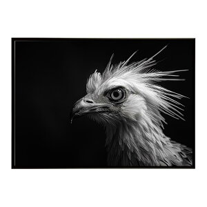 Secretary bird �Z�N���^���[�o�[�h �T�o���i �A�t���J ���� ���R �l�C�`���[ ���� �A�j�}�� �쐶���� �ʐ^ ���|�X�^�[ �C���e���A ������� �v�����g�|�X�^�[ �t�H�g �V���v�� ������ ���� �傫