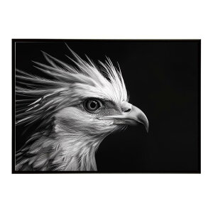 Secretary bird �Z�N���^���[�o�[�h �T�o���i �A�t���J ���� ���R �l�C�`���[ ���� �A�j�}�� �쐶���� �ʐ^ ���|�X�^�[ �C���e���A ������� �v�����g�|�X�^�[ �t�H�g �V���v�� ������ ���� �傫
