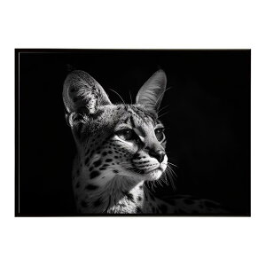 Serval �T�[�o�� �T�[�o���L���b�g �T�o���i �A�t���J ���� ���R �l�C�`���[ ���� �A�j�}�� �쐶���� �ʐ^ �L�|�X�^�[ �C���e���A ������� �v�����g�|�X�^�[ �t�H�g �V���v�� ������ ���� ��