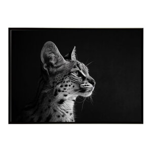 Serval �T�[�o�� �T�[�o���L���b�g �T�o���i �A�t���J ���� ���R �l�C�`���[ ���� �A�j�}�� �쐶���� �ʐ^ �L�|�X�^�[ �C���e���A ������� �v�����g�|�X�^�[ �t�H�g �V���v�� ������ ���� ��