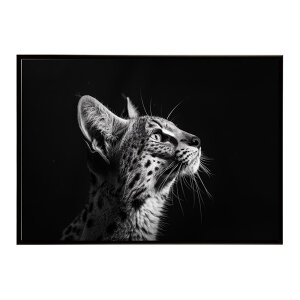 Serval �T�[�o�� �T�[�o���L���b�g �T�o���i �A�t���J ���� ���R �l�C�`���[ ���� �A�j�}�� �쐶���� �ʐ^ �L�|�X�^�[ �C���e���A ������� �v�����g�|�X�^�[ �t�H�g �V���v�� ������ ���� ��