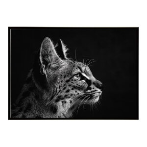 Serval �T�[�o�� �T�[�o���L���b�g �T�o���i �A�t���J ���� ���R �l�C�`���[ ���� �A�j�}�� �쐶���� �ʐ^ �L�|�X�^�[ �C���e���A ������� �v�����g�|�X�^�[ �t�H�g �V���v�� ������ ���� ��